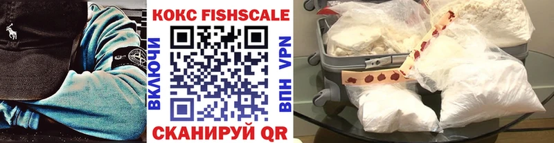 Cocaine FishScale  darknet телеграм  Курганинск 