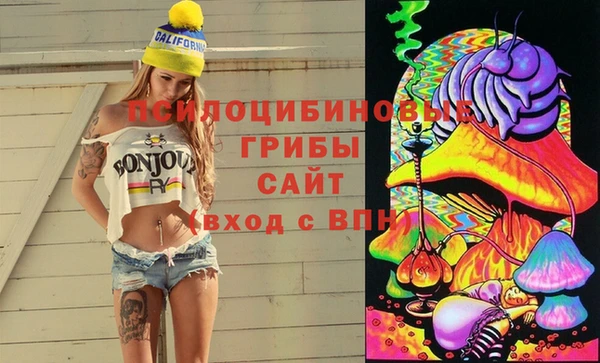 скорость Белокуриха