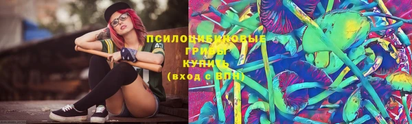 скорость Белокуриха