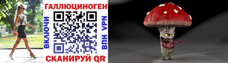 как найти закладки  кракен вход  Псилоцибиновые грибы ЛСД  Курганинск 